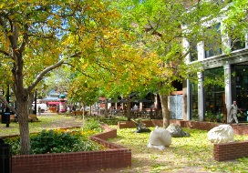 Boulder Downtown Fall