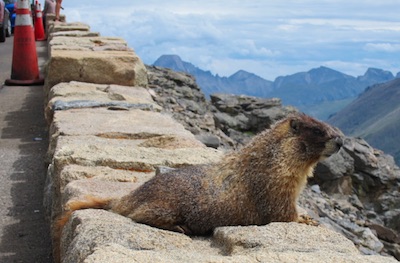 marmot Boulder, CO