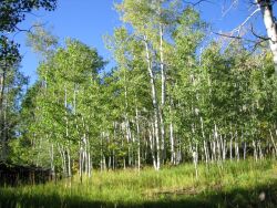 Sylvan Lake State Park 1 