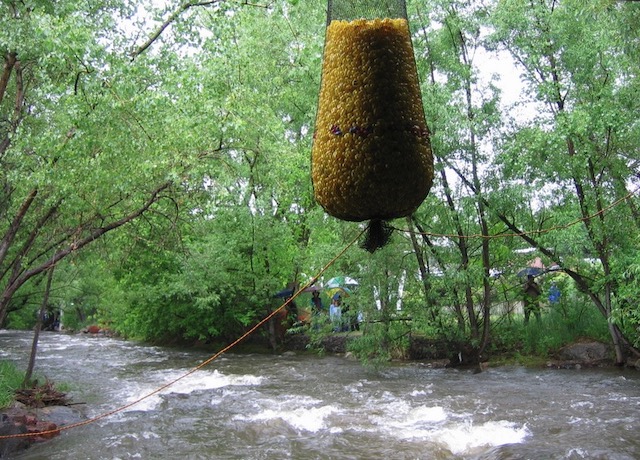 Boulder Creek Festival ダックレース