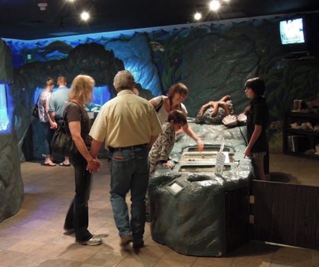 Butterfly Pavilion, Westminster, CO　ちょうちょ館