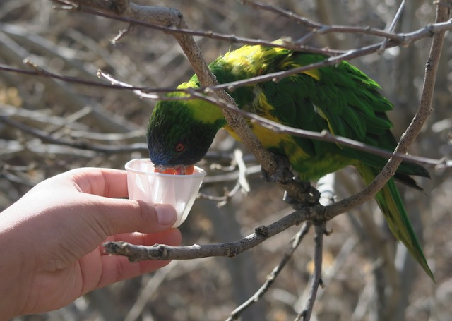 Denver Zoo デンバー動物園