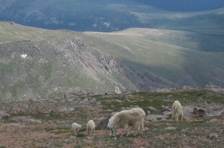 Mt Evans コロラド