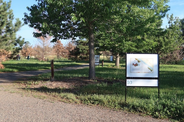 Curious Garden, Louisville Arboretum 