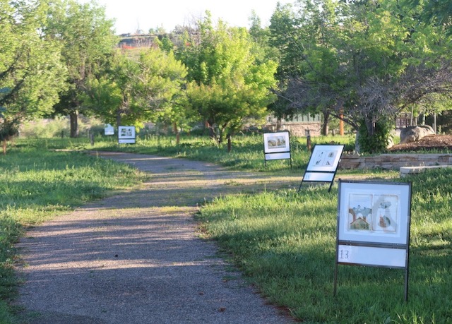 Curious Garden, Louisville Arboretum 