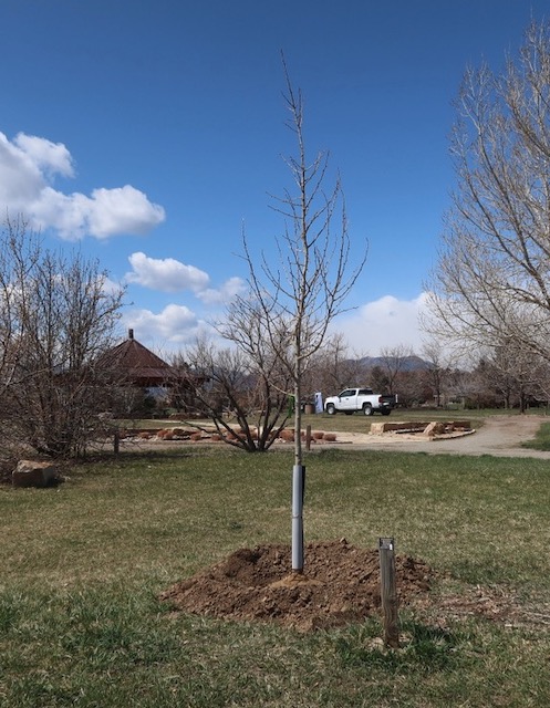 Louisville Arboretum 