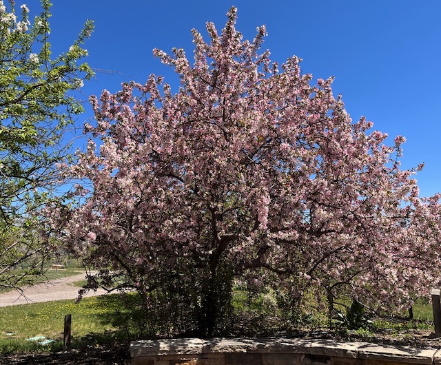 Louisville Arboretum 