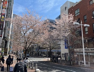 日本入国 自己隔離不要