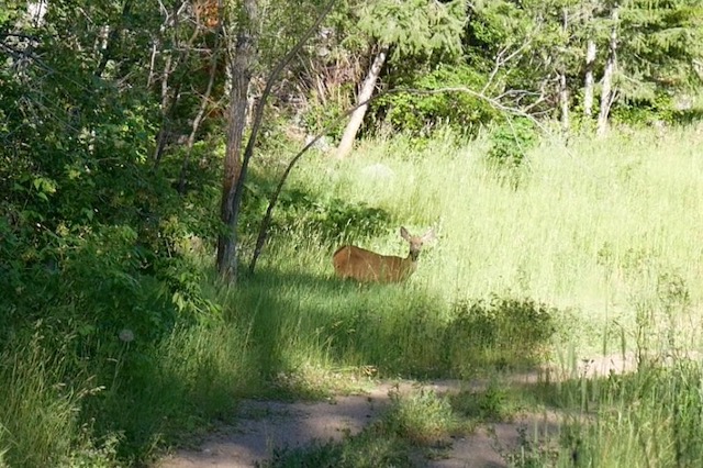 Eldorado Canyon State Park コロラド州 ボルダー