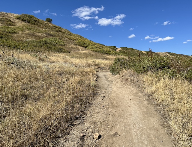 Boulder Valley Ranch Trail ボルダー