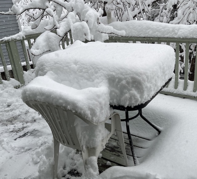 大雪警報 コロラド州ボルダー 2024年3月15日 大雪 積雪量の計測