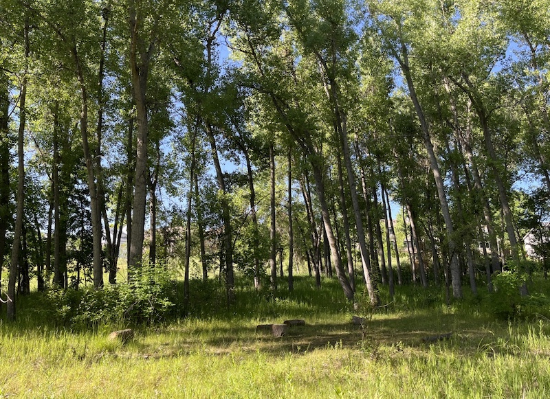Keith Helart Park Louisville Colorado