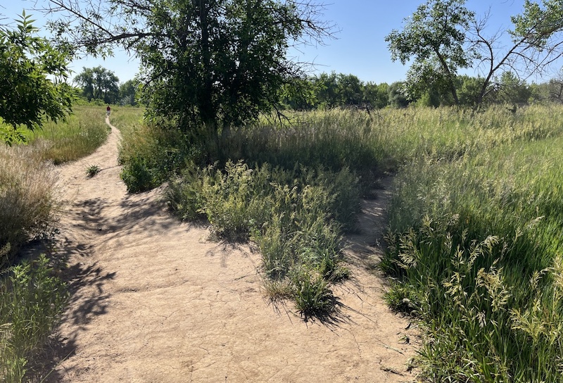 Keith Helart Park Louisville Colorado