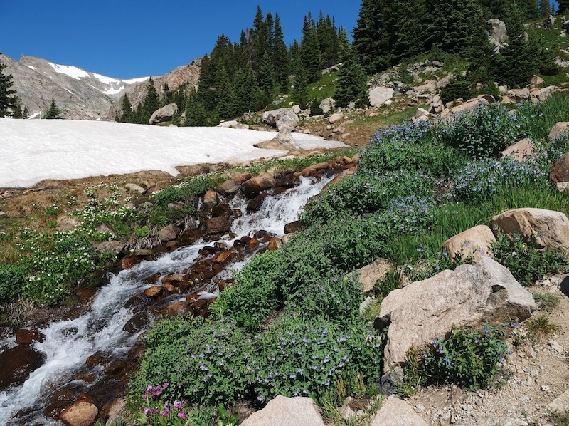 Brainard Lake