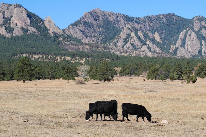 South Boulder Creek West Trailhead